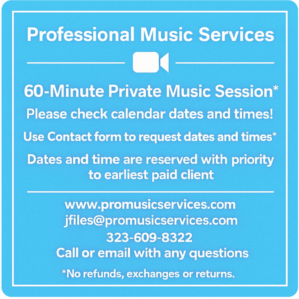 one hour professional music services session